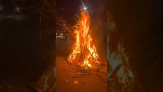 Holika Dahan 🔥 holikadahan holikadahan2024 holi2024 happyholi holihai giridih [upl. by Weiser]