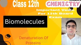 Denaturation Of Proteins l Biomolecules l Class 12th Chemistry l Organic chemistry l [upl. by Aziram]