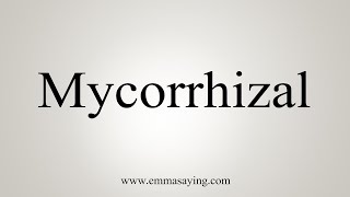 How To Say Mycorrhizal [upl. by Arreic]