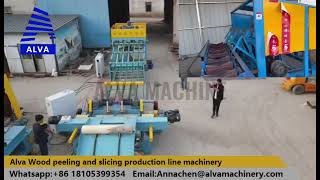 Automatic 4 Feet Plywood Veneer Production Line for Veneer Making [upl. by Emad]