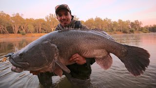 GIANT Topwater Murray Cod Fishing [upl. by Rohn]