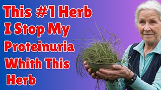 The Herb That Stopped My Proteinuria – Unbelievable Results [upl. by Gninnahc]