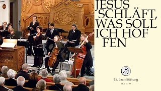 JS Bach  Aria quotDie schäumenden Wellen von Belials Bächenquot from Cantata BWV 81 [upl. by Nylazor232]