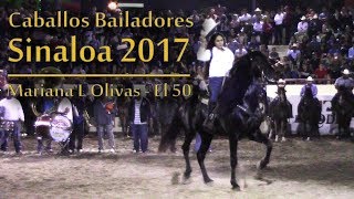 Caballos Bailadores Sinaloa  Mariana L Olivas  Caballo El 50 [upl. by Eneleahs]