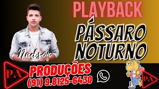 Playback  Pássaro Noturno Nadson O Ferinha [upl. by Llednar]