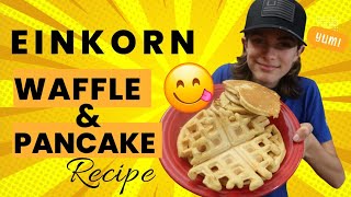 EINKORN WAFFLE AND PANCAKE RECIPE [upl. by Ginzburg368]