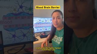 BloodBrainBarrierNeurobiologyBrainResearch [upl. by Akisey]