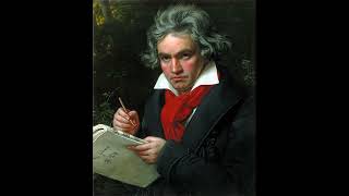 Beethoven Piano Sonata No 1 in f minor IV Prestissimo Full Orchestra Version [upl. by Ytte208]