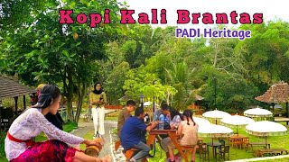 Kopi Kali Brantas Padi Heritage Adem Ramah Anak [upl. by Lello61]