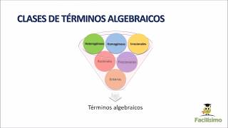 Clases de Términos Algebraicos [upl. by Boelter]