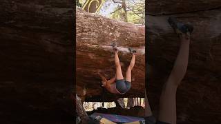 Albarracin Eclipse 7b sports nature climbing fontainebleau bouldering [upl. by Natal745]