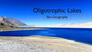 Oligotrophic Lakes  Environmental Geography  Bio Geography  Geography [upl. by Swihart]