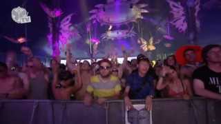 Tomorrowland 2013  Digitalism [upl. by Rye]