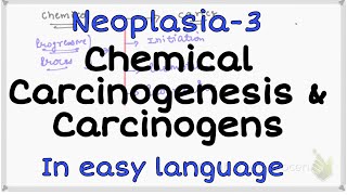 Chemical Carcinogenesis amp Carcinogens Pathology carcinogenesis chemicalcarcinogens [upl. by Byers]