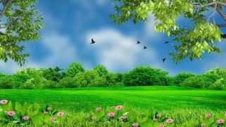 Nature background video effect  landscape background hd [upl. by Olegnaid40]