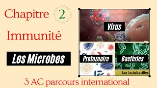 Les microbes Types amp caractéristiques pour les 3AC international [upl. by Eillo]