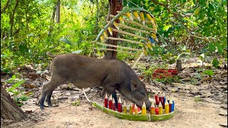 Primitive technology  Build Unique Primitive Wild boar Trapping Tool Using Bamboo That Work 100 [upl. by Eilrebmik89]