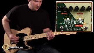 ElectroHarmonix Deluxe Memory Man 550TT [upl. by Ahsikat]