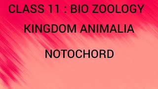 Notochord  Kingdom Animalia  Class 11  Bio zoology  Tamil [upl. by Stricklan735]