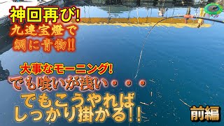 【海上釣堀】 【水宝】また神回 爆釣爆笑大騒ぎ前編 [upl. by Herold]