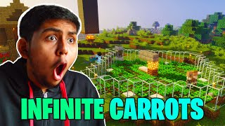 BUILDING CARROT FARM IN MINECRAFT 10 [upl. by Akinirt]