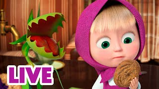 🔴 LIVE 🐻👧 Masha y el Oso 2024 🍓 ¿Qué hay de postre 🎬 Masha and the Bear [upl. by Idihsar]