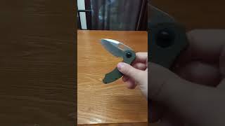 Kizer Mini Roach  Flipping [upl. by Ogata513]