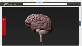 Getting into Netters 3D Anatomy [upl. by Labina]