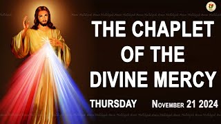 Chaplet of the Divine Mercy I Thursday November 21 2024 I Divine Mercy Prayer I 1200 PM [upl. by Rucker]