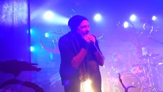 Eluveitie  Inis Mona  live  Das Zelt Schützenmatte Olten 4316 [upl. by Ellienad]