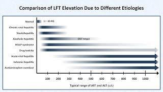 Interpretation of LFTs Liver Function Tests [upl. by Waxman688]