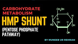 HMP Shunt Pentose Phosphate Pathway With Structures  Carbohydrate Metabolism  Pharm D [upl. by Lud635]