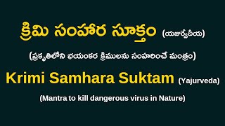 క్రిమి సంహార సూక్తం ¦ Krimi Samhara Suktam ¦ Mantra to Kill Dangerous Virus ¦ Namaskar TV [upl. by Poyssick]