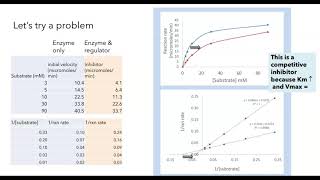 Michaelis Menten and Lineweaver Burk plots [upl. by Laux]