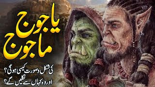 The Real Story Of Yajooj Majooj  Yajuj Majuj Location  Gog And Magog Islam  Meezan [upl. by Kirst]