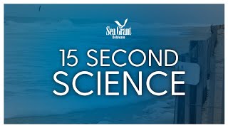 15 Second Science What is Storm Surge [upl. by Noe344]