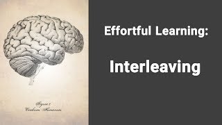 Effortful Learning  Interleaving [upl. by Leonelle]