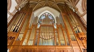 Church of the Assumption Ansonia CT MidmerLosh Organ Tour 2020 [upl. by Haimerej723]