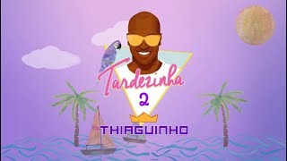 Thiaguinho  Pé Na Areia Álbum Tardezinha 2 Áudio Oficial [upl. by Aba637]