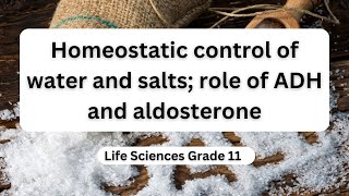 Homeostatic control of water and salts role of ADH and aldosterone [upl. by Ramar850]