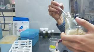 Streaking Colonies Culture Agar Petri dish Bacterial cellulose SHML GIST Gwangju Korea [upl. by Bradley]