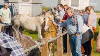 Hauke unterwegs auf dem Ovelgönner Pferdemarkt [upl. by Muldon632]