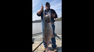 Snagging Spoonbill Paddlefish in Warsaw Missouri [upl. by Arahsak]