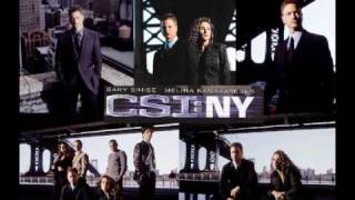 CSI New York Theme Song [upl. by Domel]