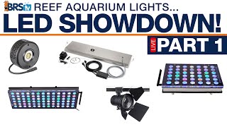 BRStvs Reef Tank Lighting Showdown Part 1 Kessil A360X Orphek Kessil T365 ATI 4Bulb T5 [upl. by Daney]