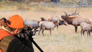 550yard Vapor Trail Our Hunting Partner had NO FEET and Made The PERFECT Shot [upl. by Ahsikcin]