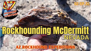 Rockhounding McDermitt Nevada S2 EP31 [upl. by Maitund]