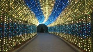 2016 LED Light Show  LED illumination Tunnel In Korea pattern mode [upl. by Onitnerolf937]