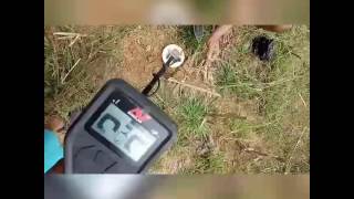 Minelab gold monster 1000 [upl. by Guarino]