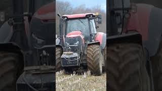 Case IH Optum 300 cvx  Lemken EurOpal 8 [upl. by Blumenthal921]